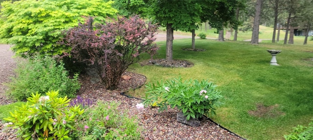41052 Canyon View Dr, Polson, MT 59860 - view of green lawn