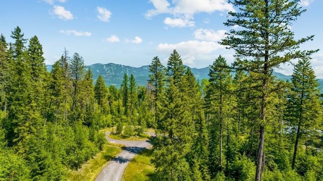 51 Harlequin Ct, Whitefish, MT 59937