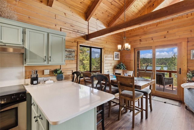 168 Carpenter Ln, Eureka, MT 59917 - dining space with healthy amount of natural light, wooden walls, wood ceiling, wood finished floors, and a chandelier