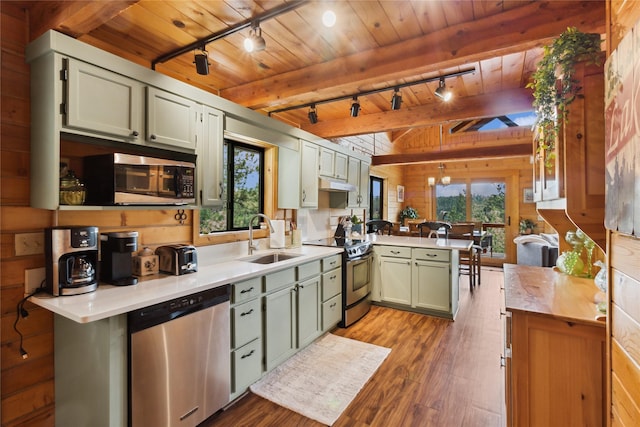 168 Carpenter Ln, Eureka, MT 59917 - kitchen with appliances with stainless steel finishes, rail lighting, green cabinets, a peninsula, and wood walls