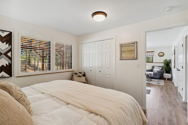 168 Carpenter Ln, Eureka, MT 59917 - bedroom with wood finished floors and a closet