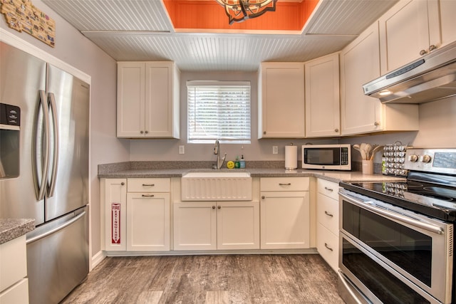 409 Mill Creek Rd, Hamilton, MT 59840 - kitchen with stainless steel appliances, light wood-style flooring, and under cabinet range hood