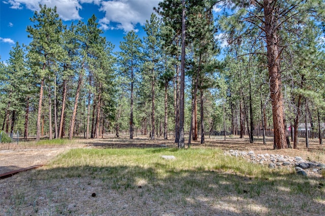 409 Mill Creek Rd, Hamilton, MT 59840 - view of yard featuring a wooded view