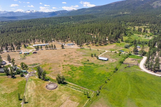 609 Gold Creek Loop, Hamilton, MT 59840