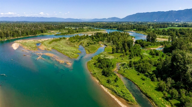 600 Ringneck Dr, Kalispell, MT 59901 - aerial overview of property's location with a forest and a water and mountain view