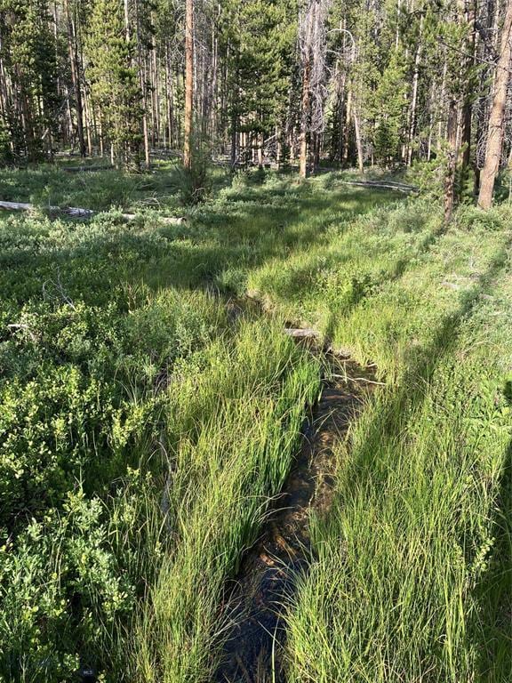 TBD Grouse Hill Dr, Anaconda, MT 59711