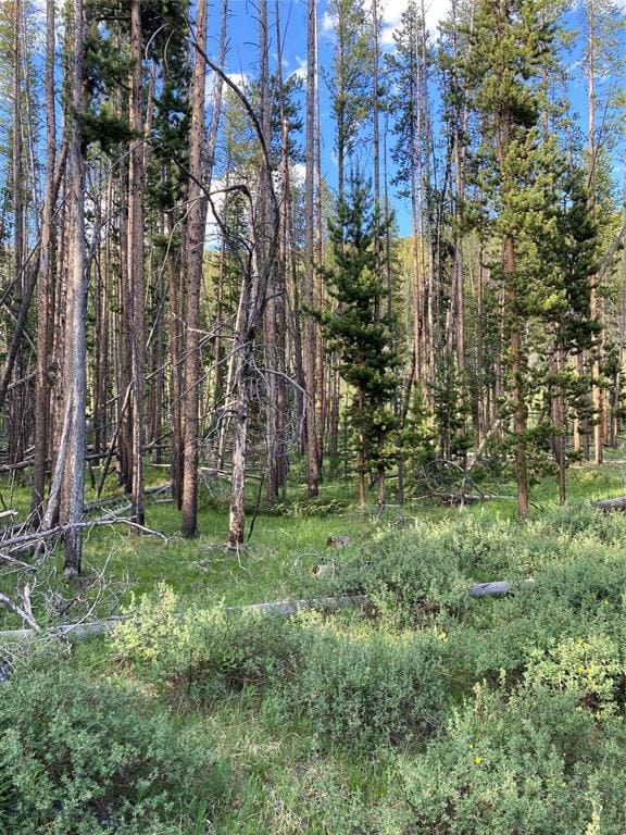 TBD Grouse Hill Dr, Anaconda, MT 59711