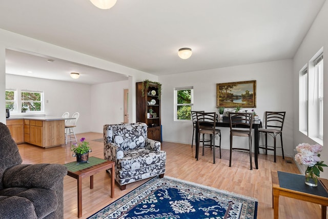 1380 Lower Valley Rd, Kalispell, MT 59901 - living room featuring light wood finished floors and baseboards