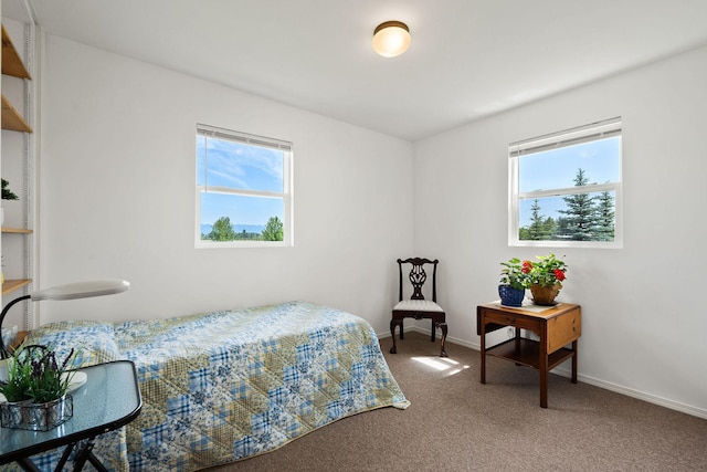1380 Lower Valley Rd, Kalispell, MT 59901 - carpeted bedroom featuring baseboards