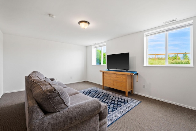 1380 Lower Valley Rd, Kalispell, MT 59901 - carpeted living room featuring baseboards