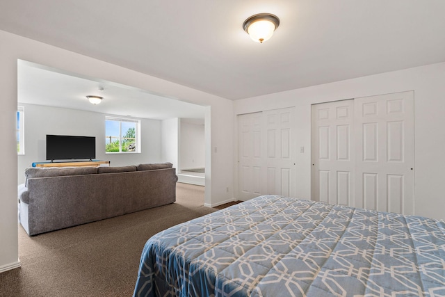 1380 Lower Valley Rd, Kalispell, MT 59901 - bedroom featuring multiple closets and carpet