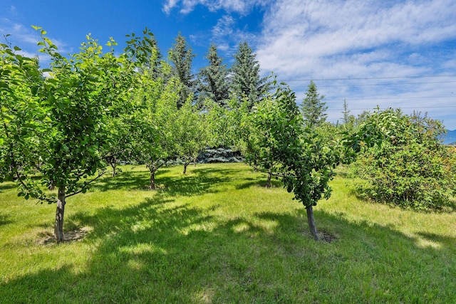 1380 Lower Valley Rd, Kalispell, MT 59901 - view of green lawn