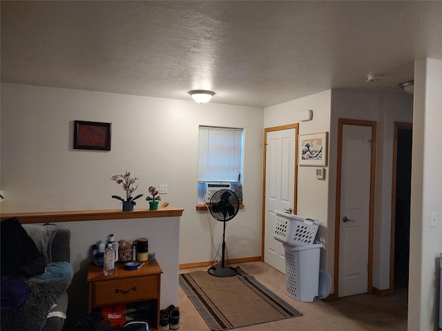 2426 Ernest Ave, Missoula, MT 59801 - exercise area with light carpet and cooling unit