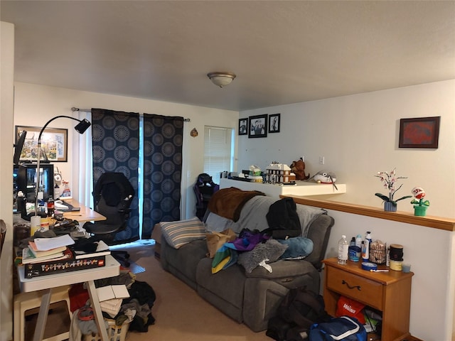 2426 Ernest Ave, Missoula, MT 59801 - view of carpeted living room