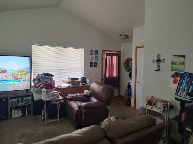 2426 Ernest Ave, Missoula, MT 59801 - living area featuring high vaulted ceiling