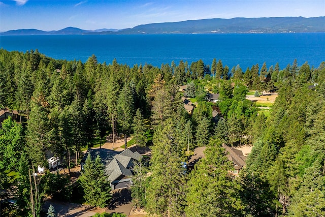 33731 Westview Dr, Bigfork, MT 59911 - aerial view of a water and mountain view