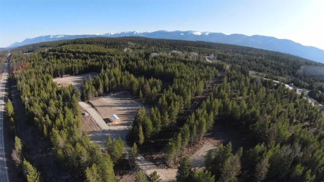 142 Lupfer Rd, Whitefish, MT 59937