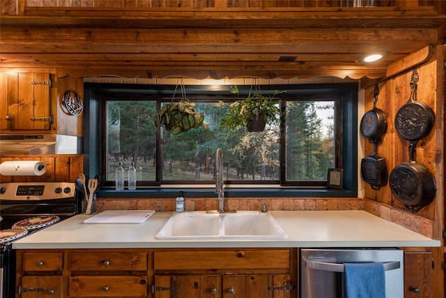 630 Tally Lake Rd, Whitefish, MT 59937 - kitchen with appliances with stainless steel finishes, ventilation hood, healthy amount of natural light, and brown cabinets