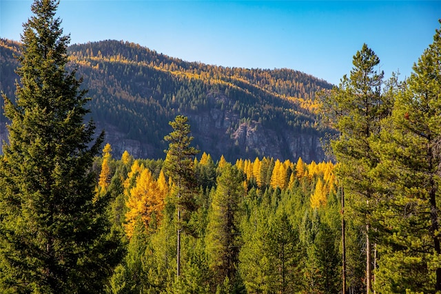 630 Tally Lake Rd, Whitefish, MT 59937 - view of mountain backdrop with a forest