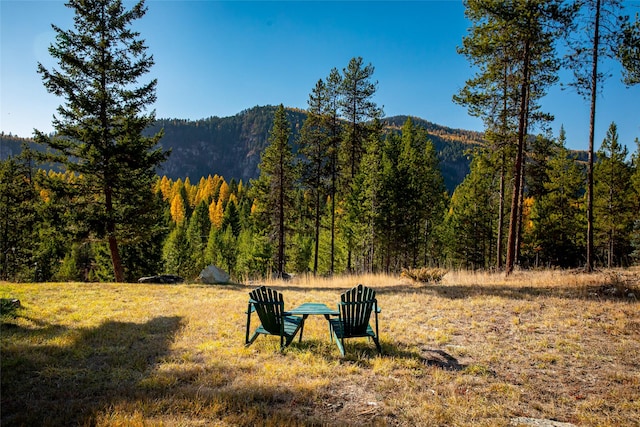 630 Tally Lake Rd, Whitefish, MT 59937 - view of mountain background featuring a heavily wooded area
