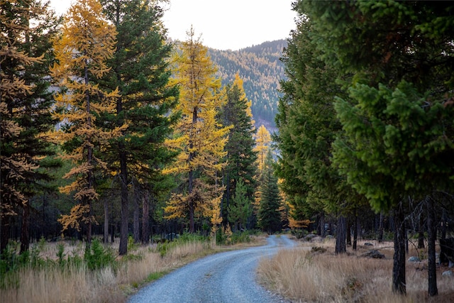 630 Tally Lake Rd, Whitefish, MT 59937 - view of road featuring a view of trees and a mountain view