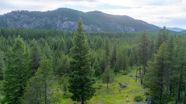 630 Tally Lake Rd, Whitefish, MT 59937 - mountain view with a forest