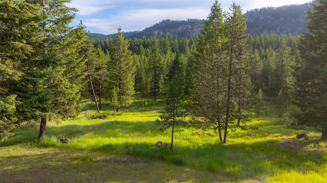 630 Tally Lake Rd, Whitefish, MT 59937 - view of mountain background featuring a heavily wooded area