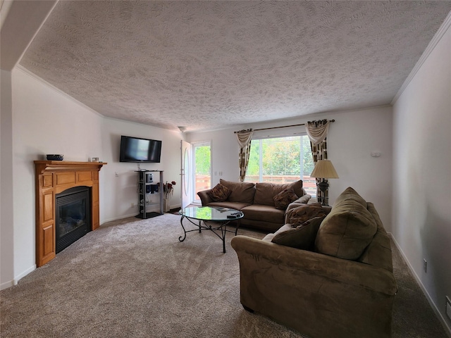1208 8th Ave NW, Great Falls, MT 59404 - living area with carpet floors, a glass covered fireplace, and a textured ceiling