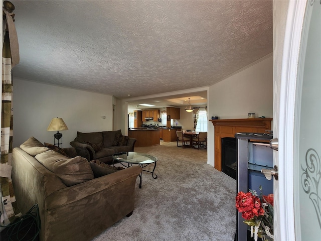 1208 8th Ave NW, Great Falls, MT 59404 - carpeted living room featuring a textured ceiling