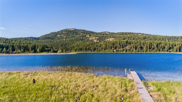 2755 US Highway 93 W, Whitefish, MT 59937 - water view featuring a heavily wooded area