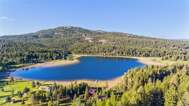 2755 US Highway 93 W, Whitefish, MT 59937 - water view with a forest and a mountainous background