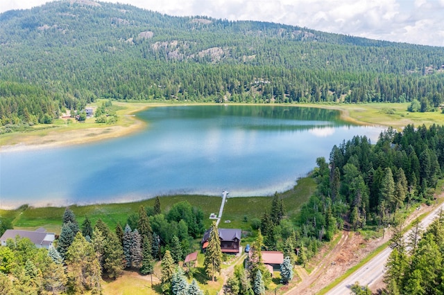 2755 US Highway 93 W, Whitefish, MT 59937 - bird's eye view of a heavily wooded area and a water and mountain view