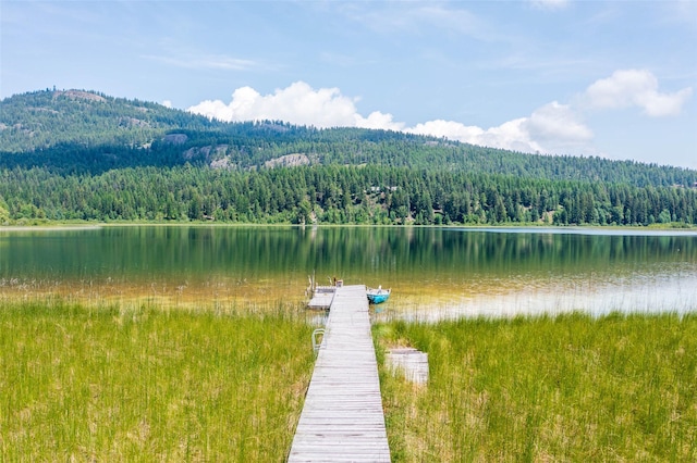 2755 US Highway 93 W, Whitefish, MT 59937 - dock featuring a forest view and a water view