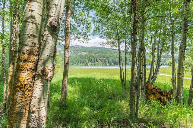 2755 US Highway 93 W, Whitefish, MT 59937 - view of yard featuring a forest view and a water view