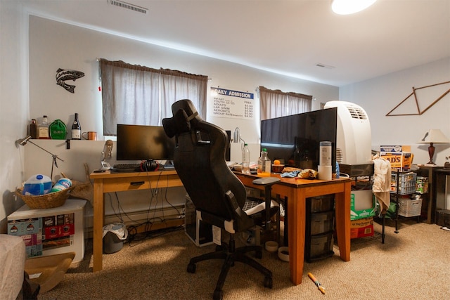 504 N 19th Ave, Bozeman, MT 59718 - view of carpeted home office