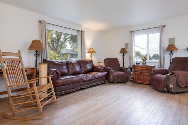 609 11th Ave E, Polson, MT 59860 - living area with light wood-type flooring