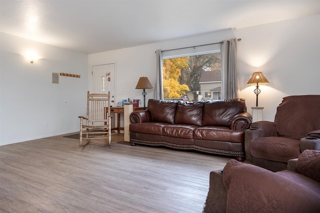 609 11th Ave E, Polson, MT 59860 - living room featuring wood finished floors