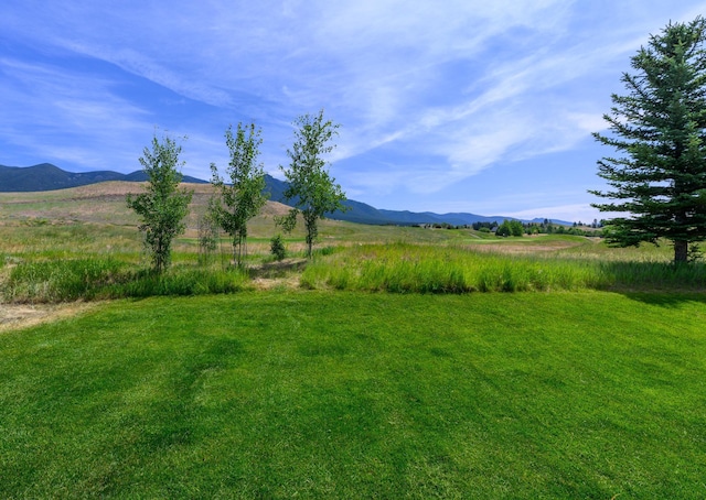 192 Leonard Ln, Eureka, MT 59917 - view of yard with a mountain view