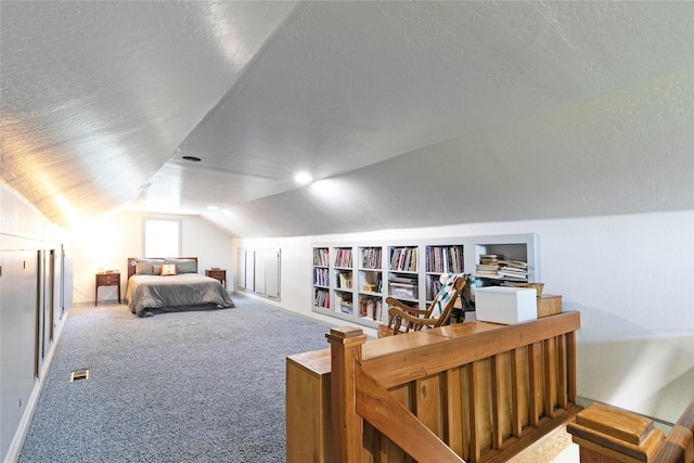 232 Kurtz Ln, Hamilton, MT 59840 - carpeted bedroom featuring lofted ceiling and a textured ceiling