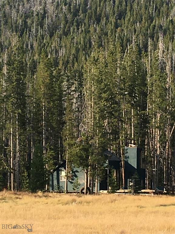 210 Grouse Hill Dr, Anaconda, MT 59711 - view of woods
