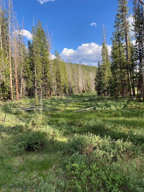 210 Grouse Hill Dr, Anaconda, MT 59711 - view of tree filled area