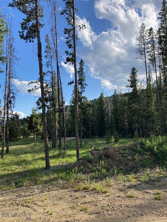 210 Grouse Hill Dr, Anaconda, MT 59711 - view of woods
