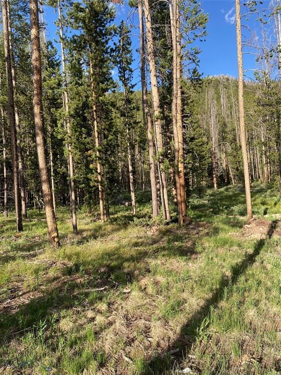 210 Grouse Hill Dr, Anaconda, MT 59711 - view of tree filled area