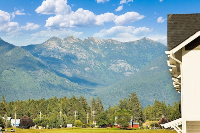 138 Jewel Basin Ct, Bigfork, MT 59911 - view of mountain background featuring a heavily wooded area