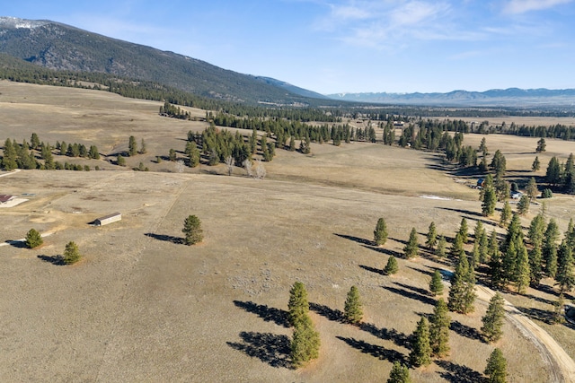 535 Sadie Way, Victor, MT 59875