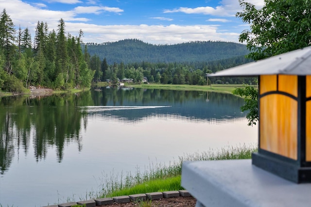 639 Three Eagle Ln, Bigfork, MT 59911 - water view with a forest