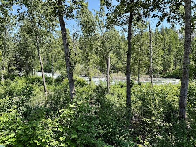 439 Osborn Ave Unit 115, Bigfork, MT 59911 - view of tree filled area with a water view