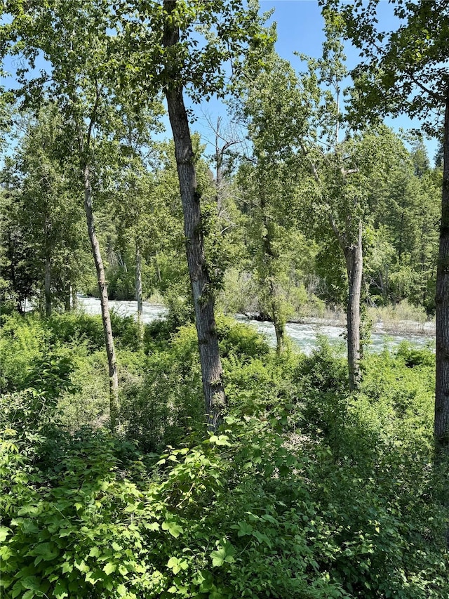 439 Osborn Ave Unit 115, Bigfork, MT 59911 - view of woods