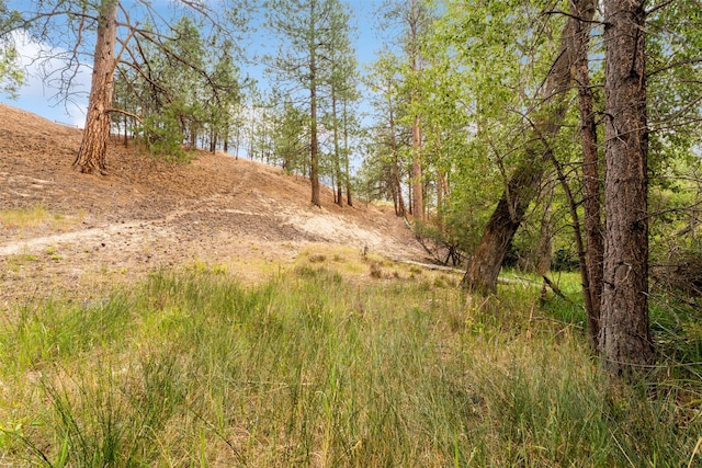 487 Hudson Ln, Victor, MT 59875 - view of local wilderness