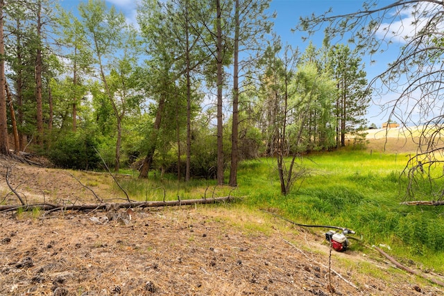 487 Hudson Ln, Victor, MT 59875 - view of yard